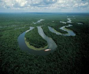 пазл Рио Амазонас, в комплексе сохранения центральной Амазонки, Бразилия